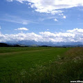 img_1245782932_905_lg.jpg