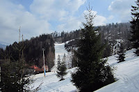 IMG_2414.JPG Photo