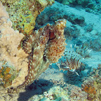 IMG_9584.JPG