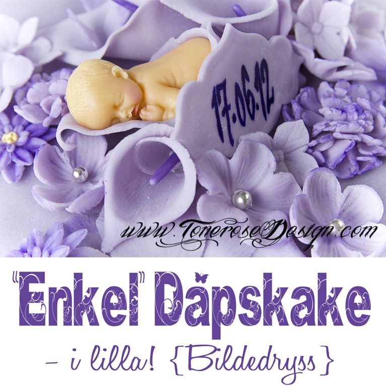 [IMG_0910%2520bildedryss%2520d%25C3%25A5pskake%2520lilla%255B5%255D.jpg]