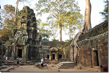 Cambodia Angkor Ta Prohm 131226_0474