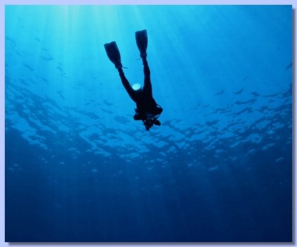 [dive17.jpg]