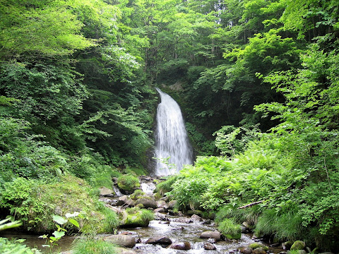 イノシシ滝