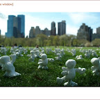 centralpark.5.jpg