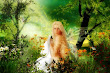Pretty Faery Of Goodness