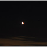 res_IMG_3831.JPG