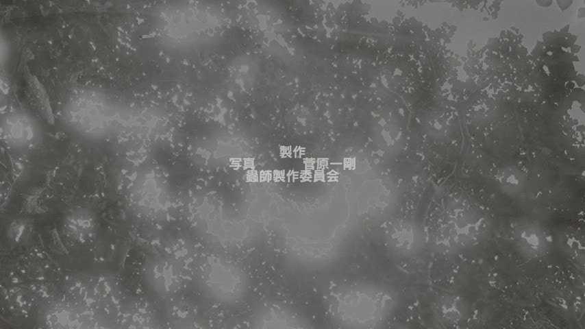 [Mushishi%2520Hihamukage%2520-%2520-40%255B2%255D.jpg]