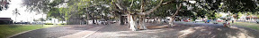 Banyan Tree Park