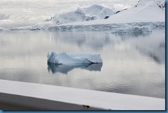 2012-01-30 026 World Cruise South Shetland Islands   January 31 2012 044