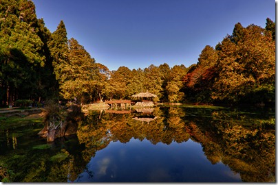 resized_041