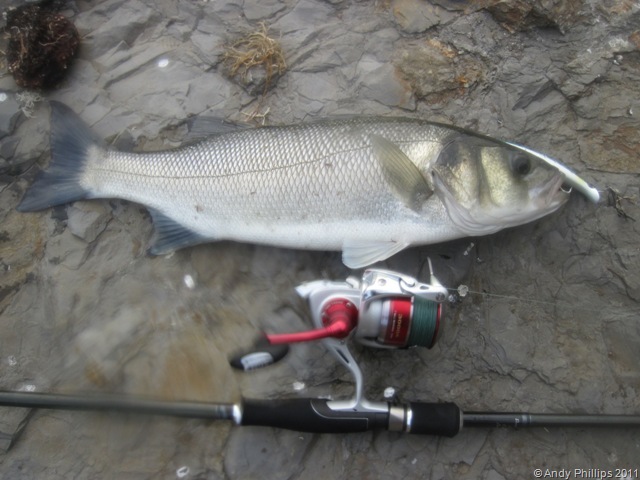 [IMG_0752%255B8%255D.jpg]