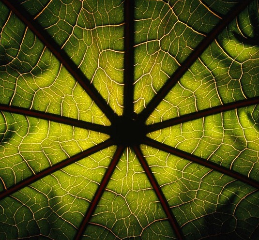 [clip_image006%255B6%255D.jpg]