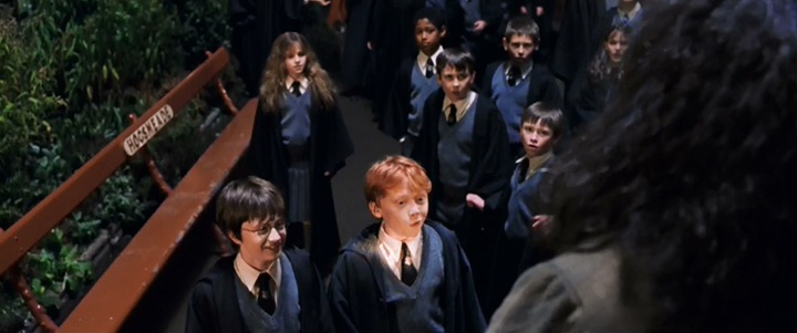 [B-Movies-14-Harry-Potter2.jpg]