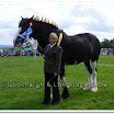 Shire 017.jpg