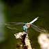P1290961