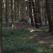 ellerbach_0030.JPG