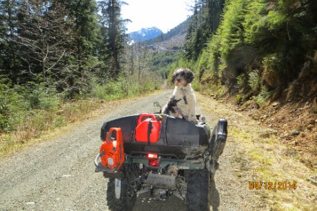 IMG_2427.jpg IMG 2427