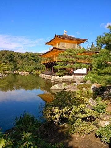 [IMG_20131010_0913413.jpg]