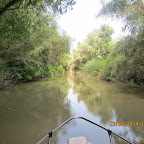 IMG_5774.JPG