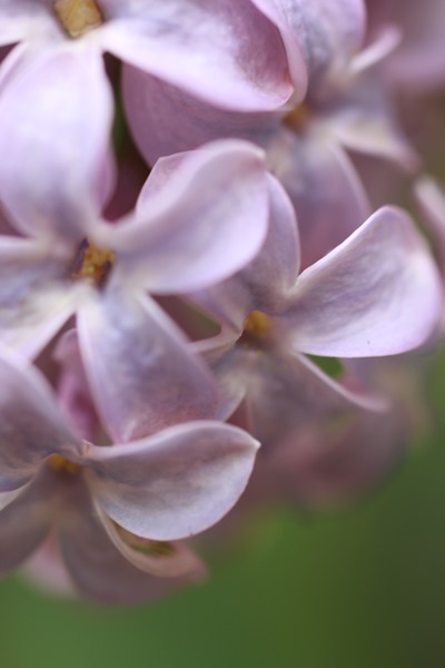 IMG_6280 IMG_6280