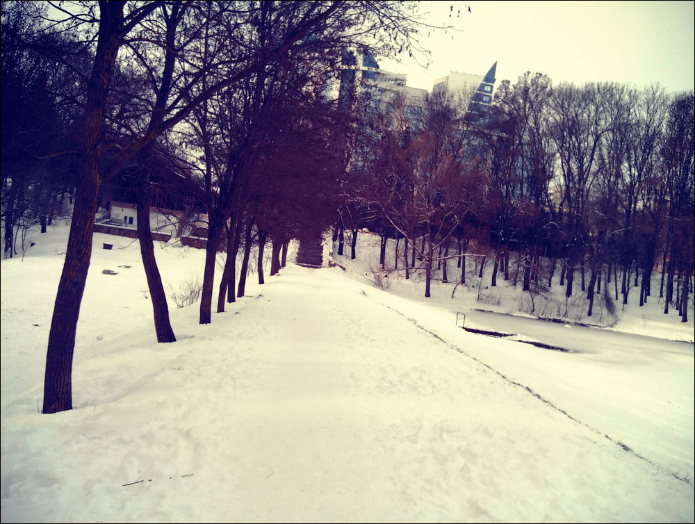 IMAG0205.jpg