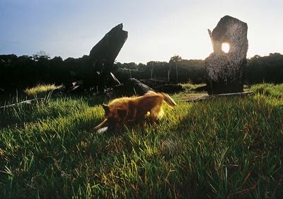 [pedra-furada%255B8%255D.jpg]