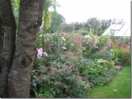 IMG_2504 IMG_2504