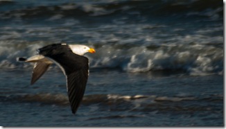cropped photo cropped photo
