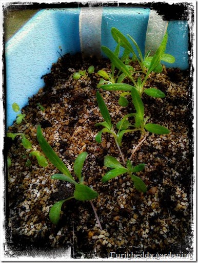 Foto 10 Foto 10