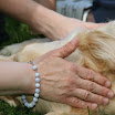 IMG_1887.JPG