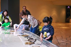 IMG_2983 IMG_2983