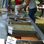 3. Festyn Rodzinny na Strzeszynie