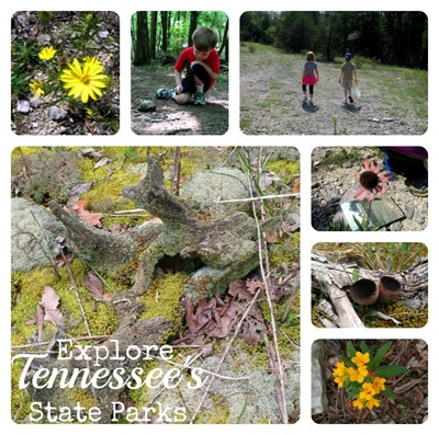 explore Tennessee state parks