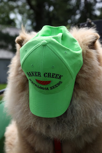 Hey, who turned the lights off?  Better find a different hat.
