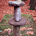 DSCN3624.JPG