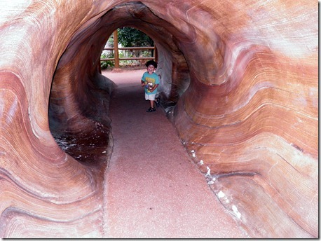 9.11.12-forest-gio-walking-through-a[1]