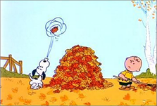 c0 Snoopy helps Charlie Brown rake leaves.