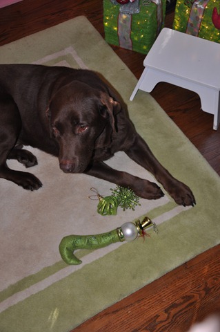 [gus%2527%2520favorite%2520ornaments%2520121311%2520%25282%2529%255B4%255D.jpg]