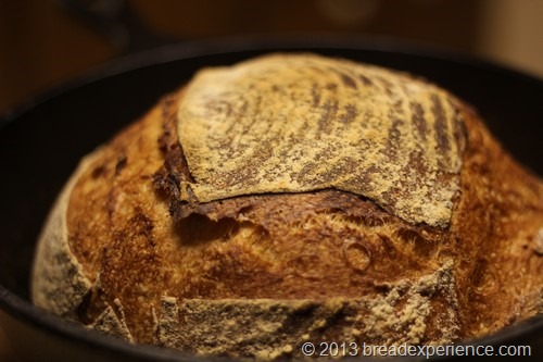 white-poolish-bread_024 white-poolish-bread_024