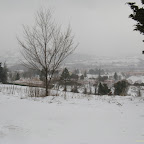 2012-02-07.jpg