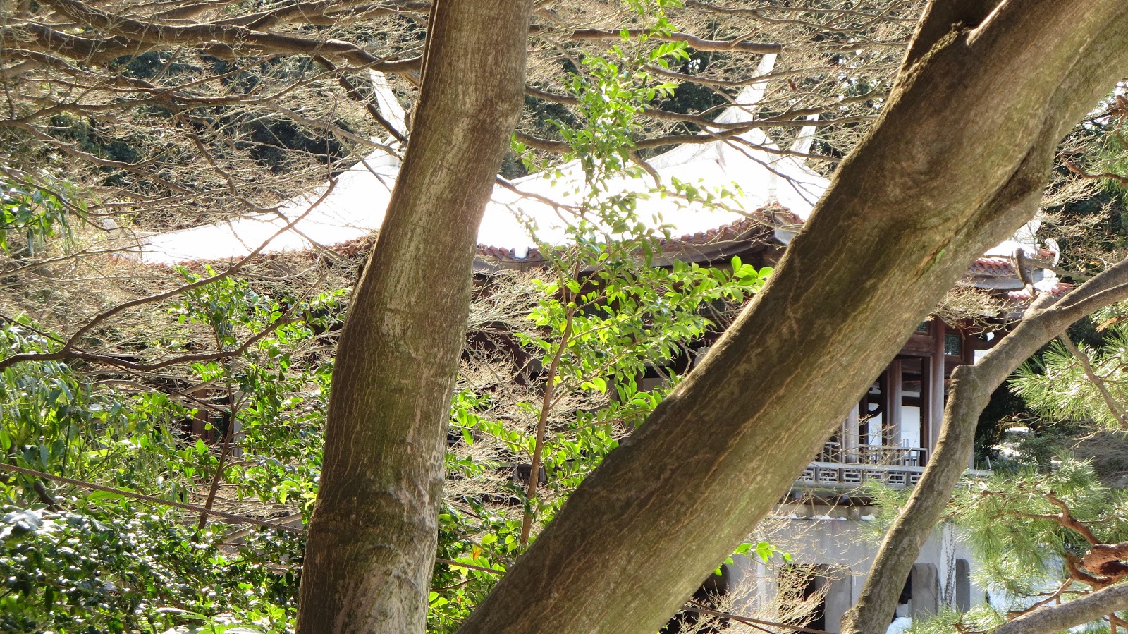 [IMG_0337%255B3%255D.jpg]