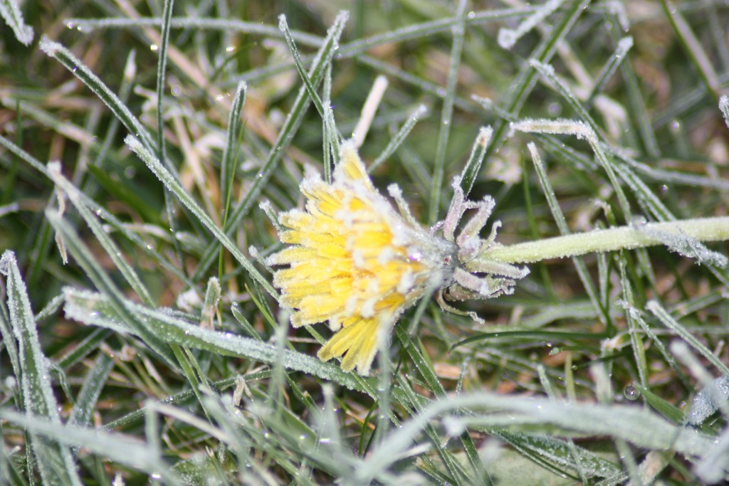 [frost%2520005%255B3%255D.jpg]