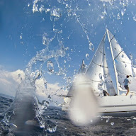 Trofeo IRC_PortoSanRocco_NUMA_d3_007.jpg