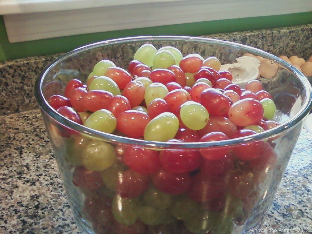 [Clean%2520Grapes%255B4%255D.jpg]