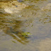 P1040362