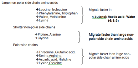 separation of amino acid mixture by paper chromatography separation of amino acid mixture by paper chromatography
