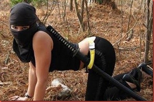 last ninja chick or girl for seo or blogging last ninja chick or girl for seo or blogging