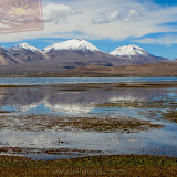 Arica - Parque Nacional Lauca (27 de 48).jpg