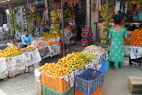 P1010588.JPG