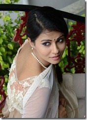 Sharmila-Mandre-latest-photos